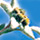edelweiss flower