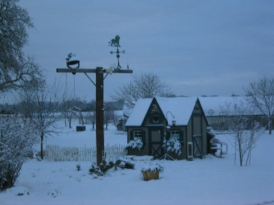 Snow22004.jpg